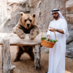 Saif Belhasa, créateur de Fame Park, un zoo privé à Dubai, le 17 février 2025